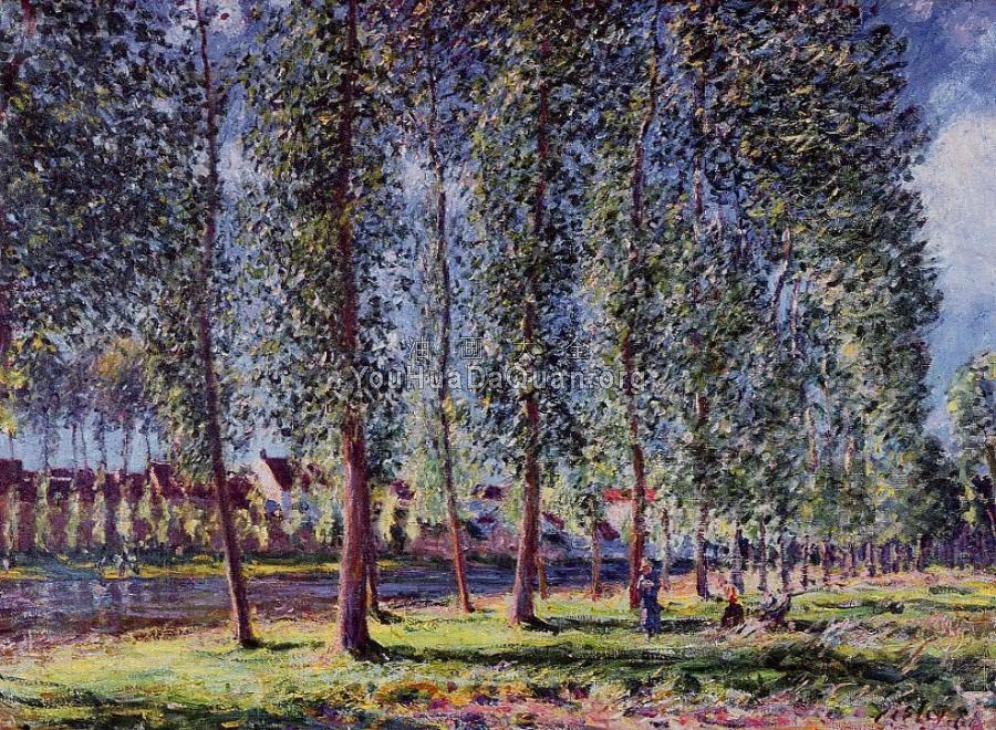 Lane of Poplars at Moret - 阿尔弗莱德·西斯莱